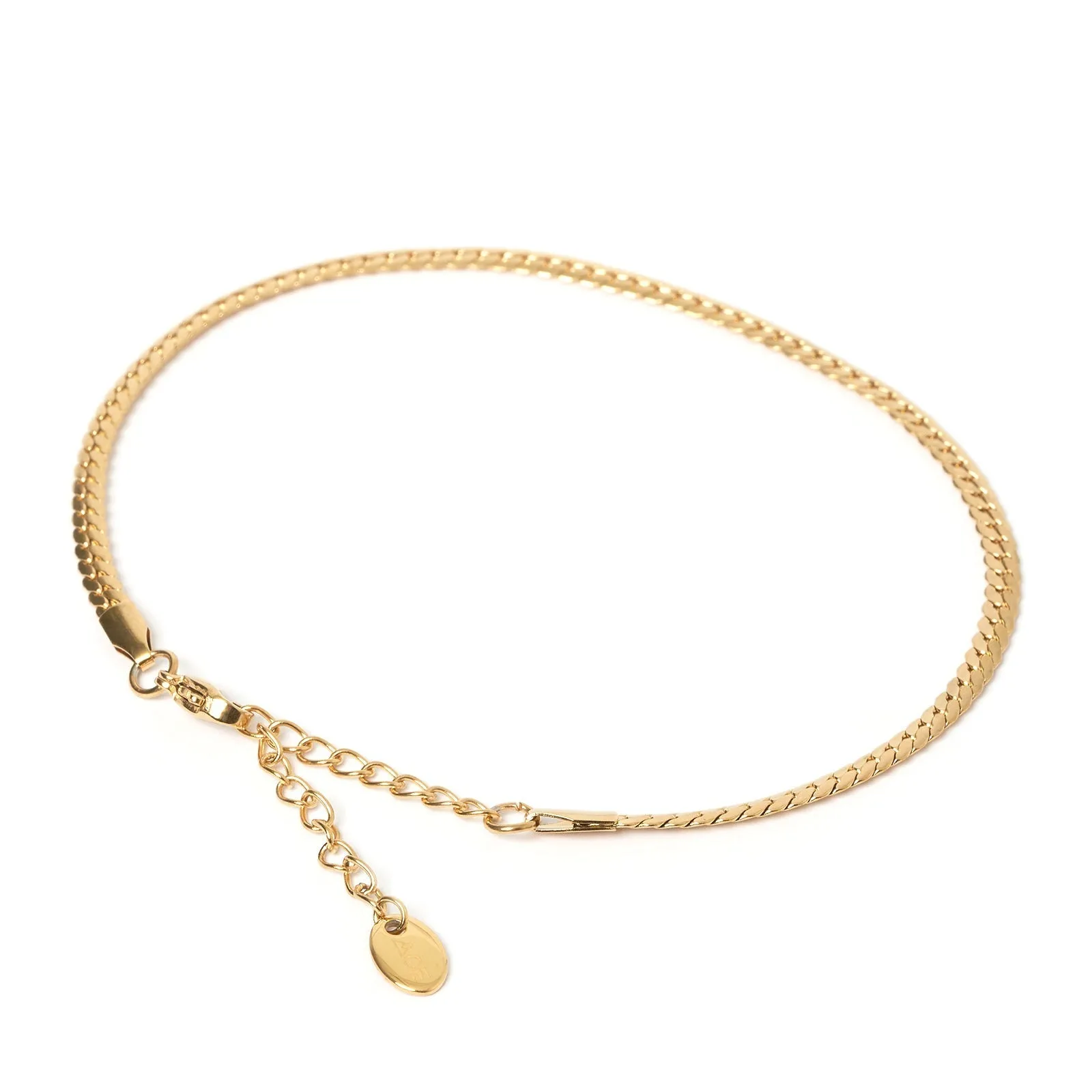 Dominique Gold Anklet