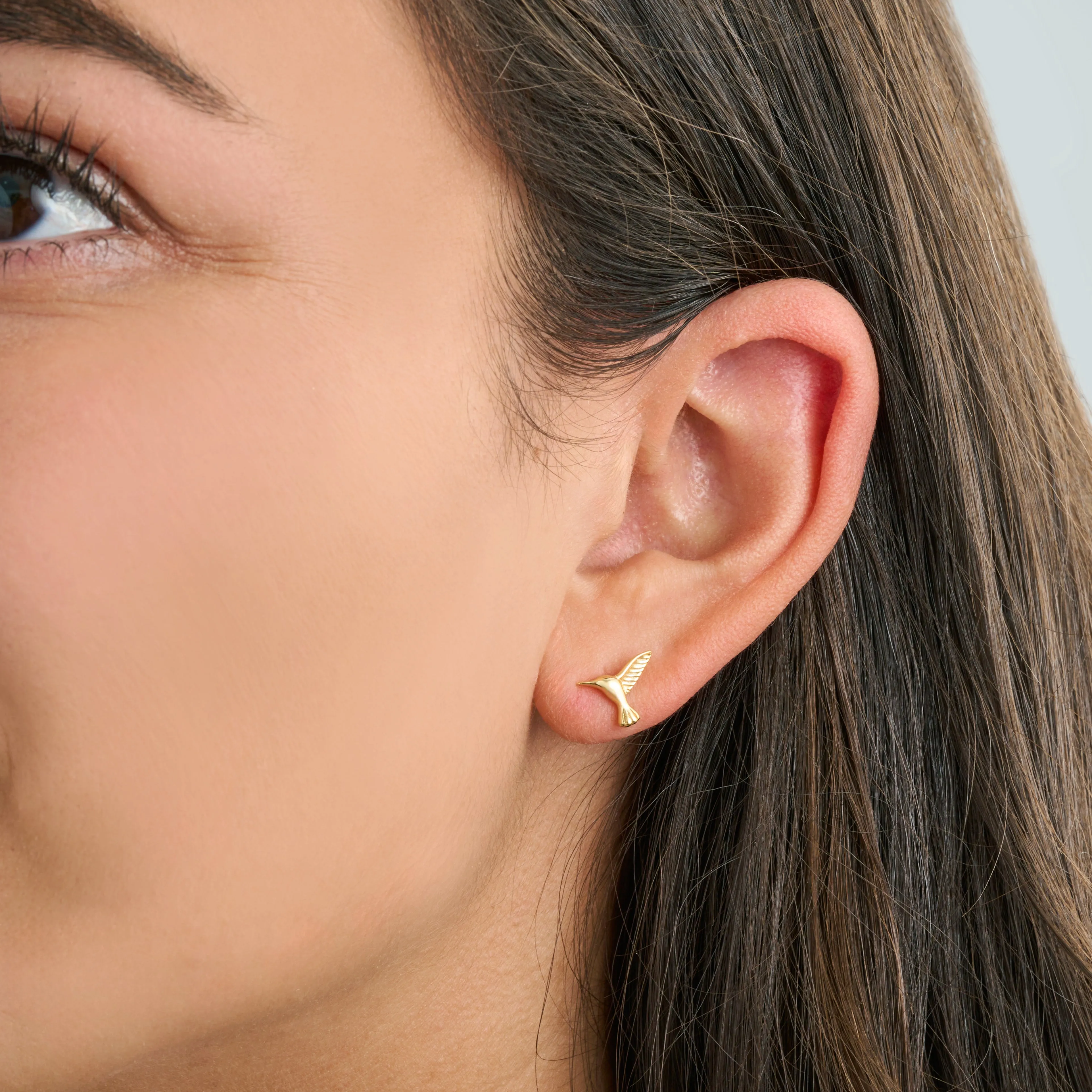 Gold Sterling Silver Hummingbird Studs