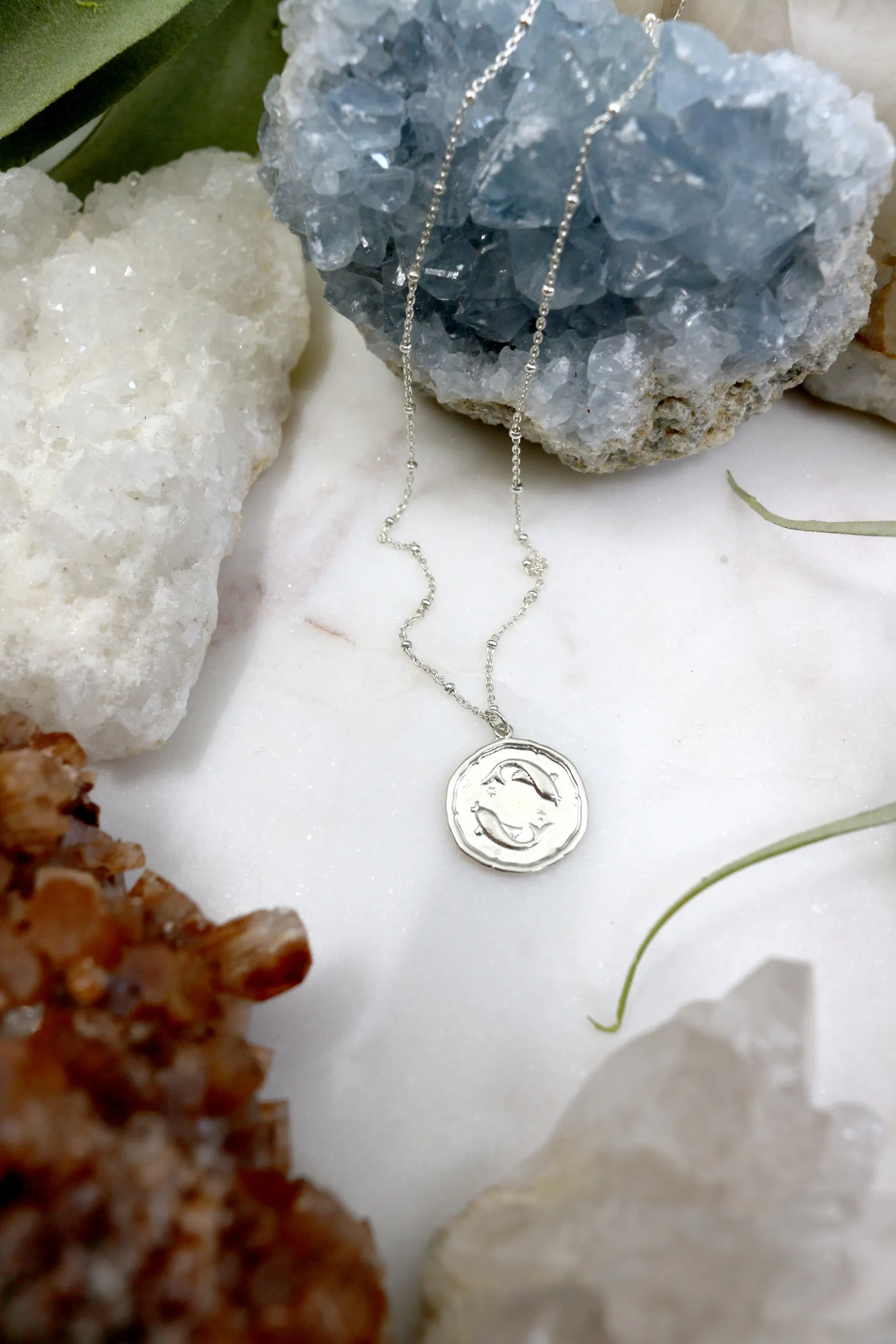 Heroine // Zodiac Necklace, Zodiac Medallion, Horoscope, Constellation // BH-N035