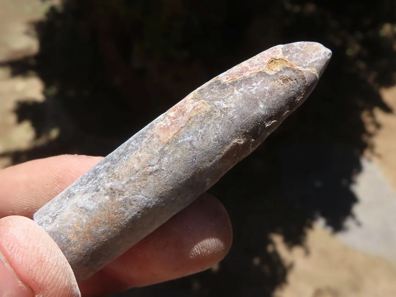 Natural Belemnite Fossil Specimens x 40 From Maintirano, Madagascar