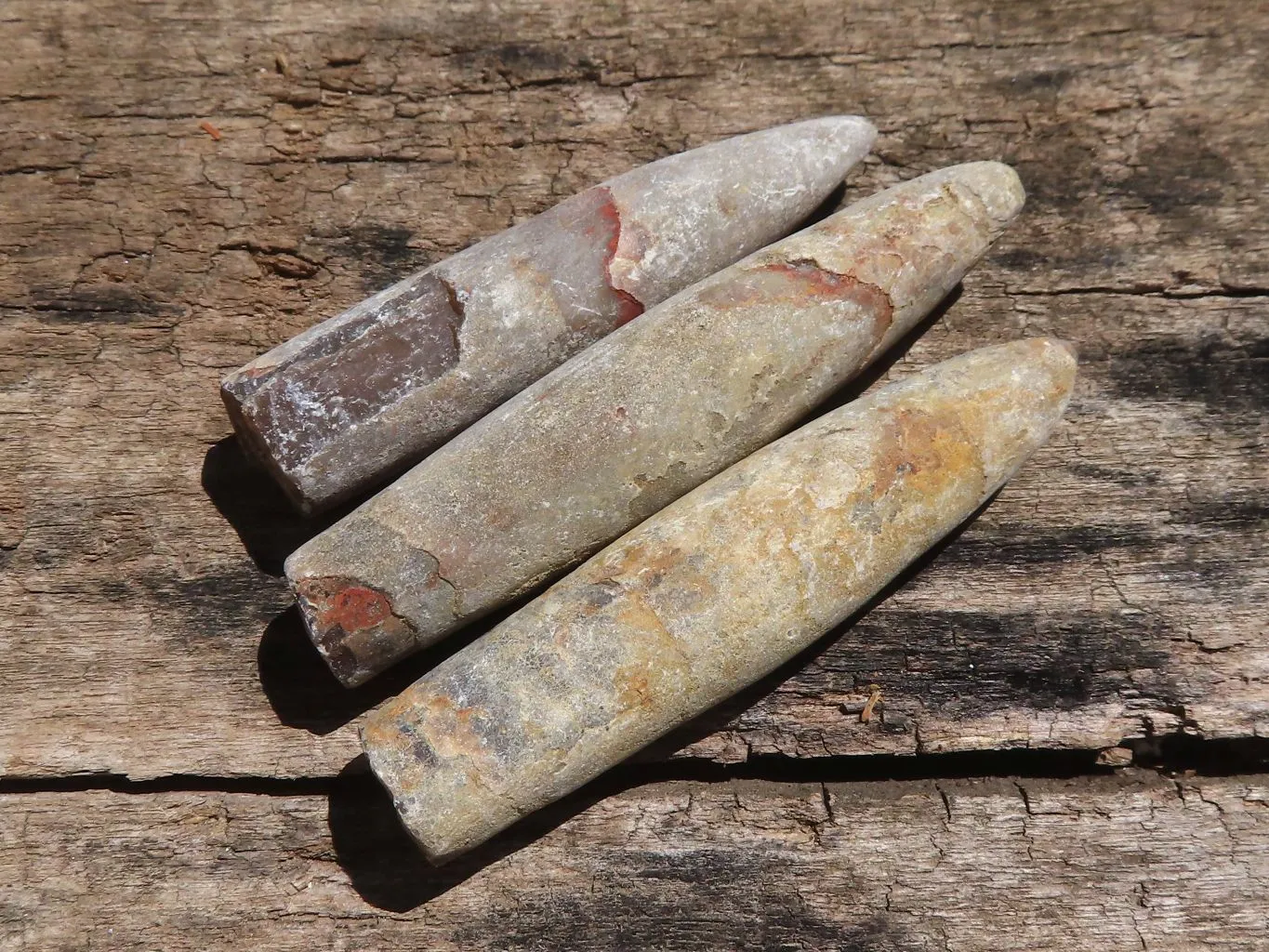 Natural Belemnite Fossil Specimens x 40 From Maintirano, Madagascar