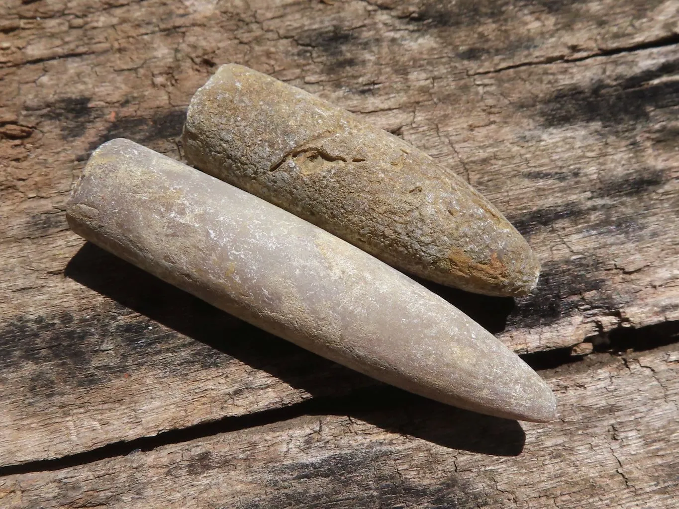 Natural Belemnite Fossil Specimens x 40 From Maintirano, Madagascar