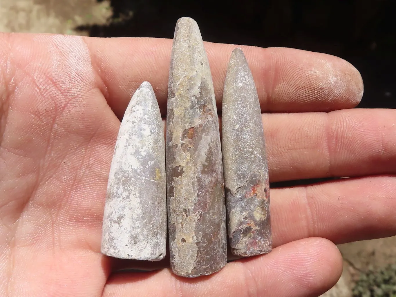 Natural Belemnite Fossil Specimens x 40 From Maintirano, Madagascar