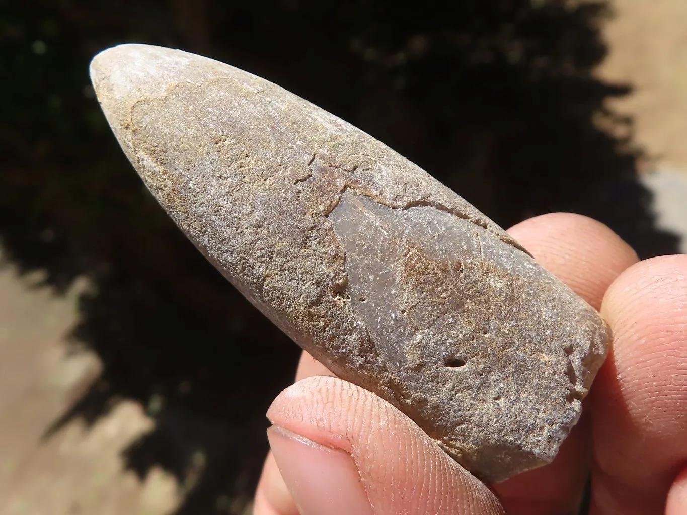 Natural Belemnite Fossil Specimens x 40 From Maintirano, Madagascar