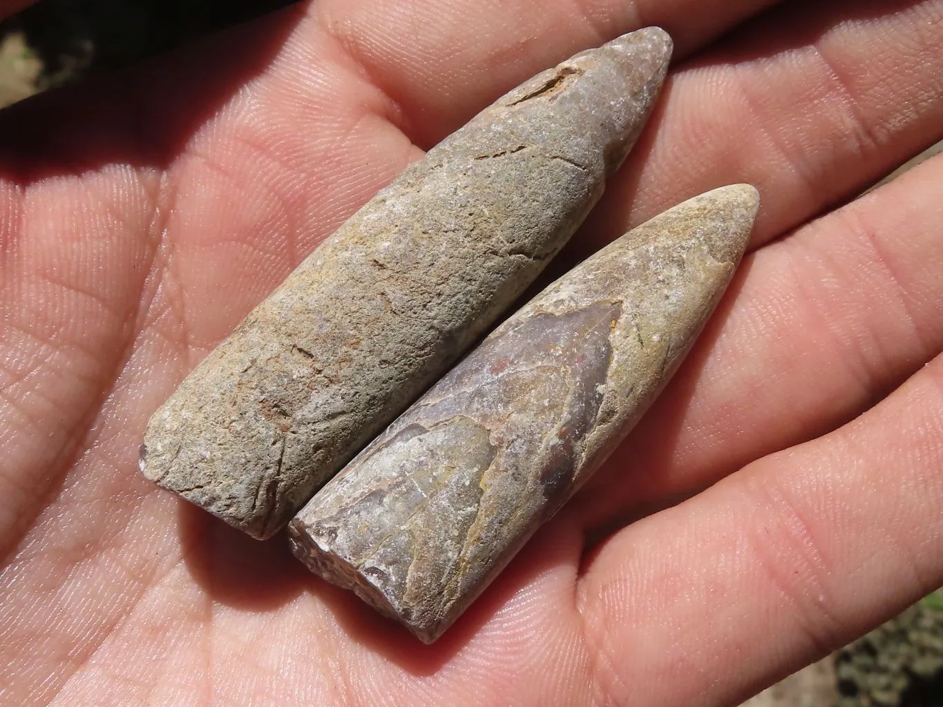 Natural Belemnite Fossil Specimens x 40 From Maintirano, Madagascar