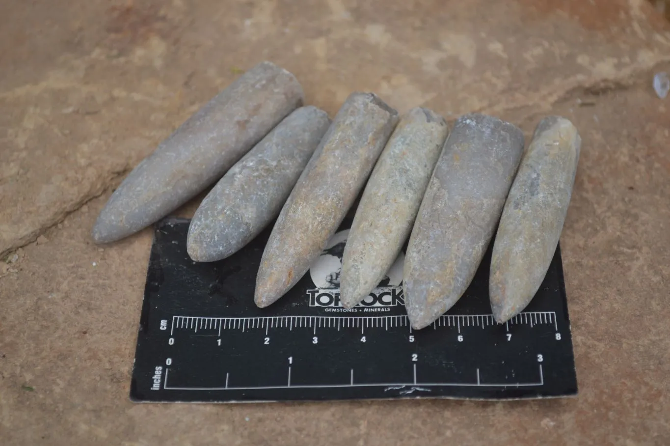 Natural Belemnite Fossil Specimens x 70 From Maintirano, Madagascar