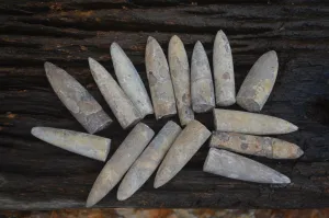 Natural Belemnite Fossil Specimens x 70 From Maintirano, Madagascar