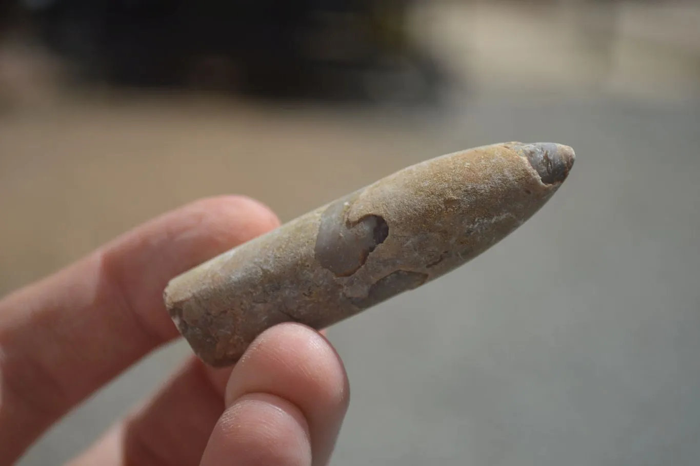 Natural Belemnite Fossil Specimens x 70 From Maintirano, Madagascar