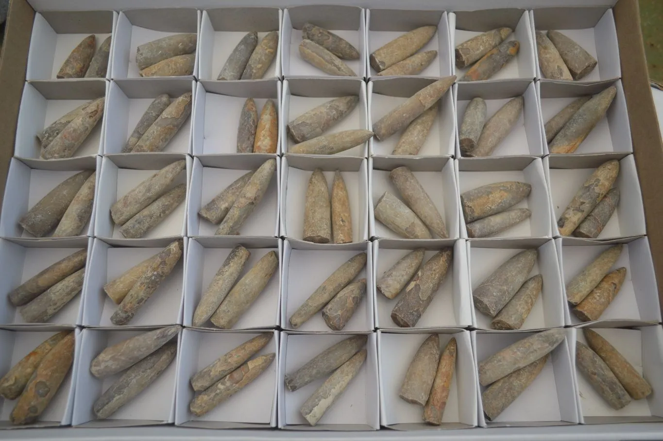 Natural Belemnite Fossil Specimens x 70 From Maintirano, Madagascar