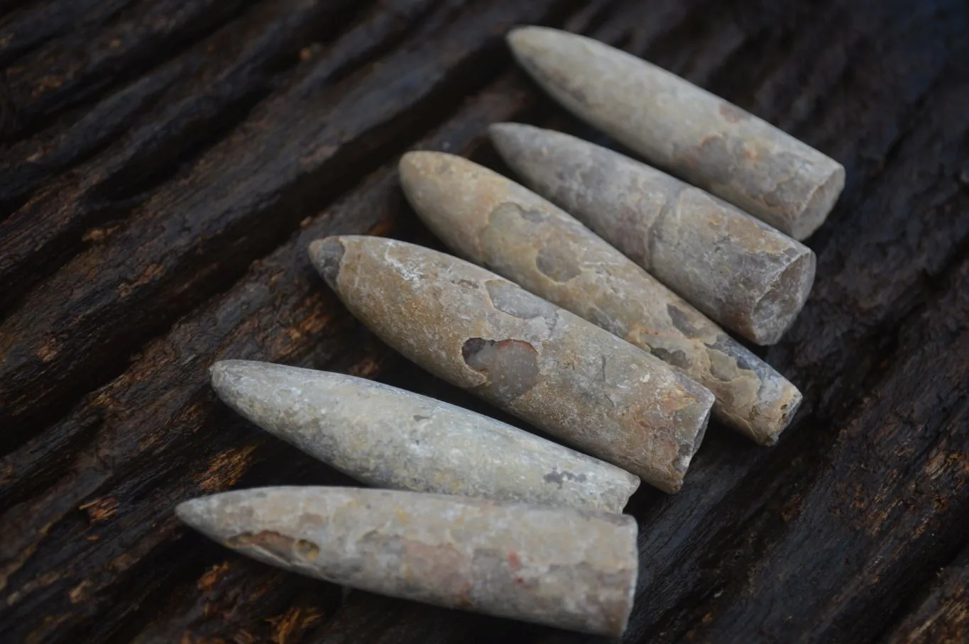 Natural Belemnite Fossil Specimens x 70 From Maintirano, Madagascar