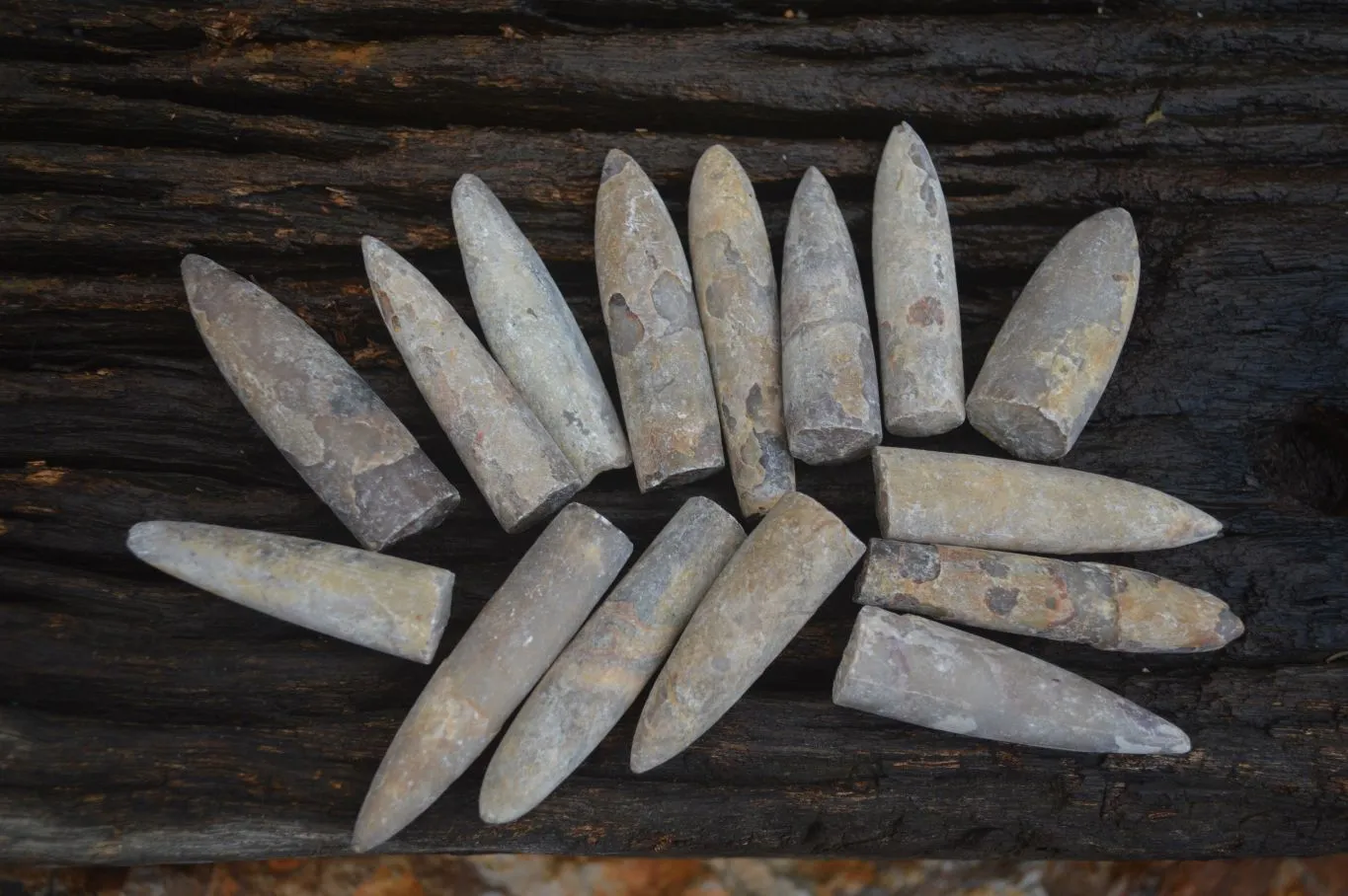 Natural Belemnite Fossil Specimens x 70 From Maintirano, Madagascar