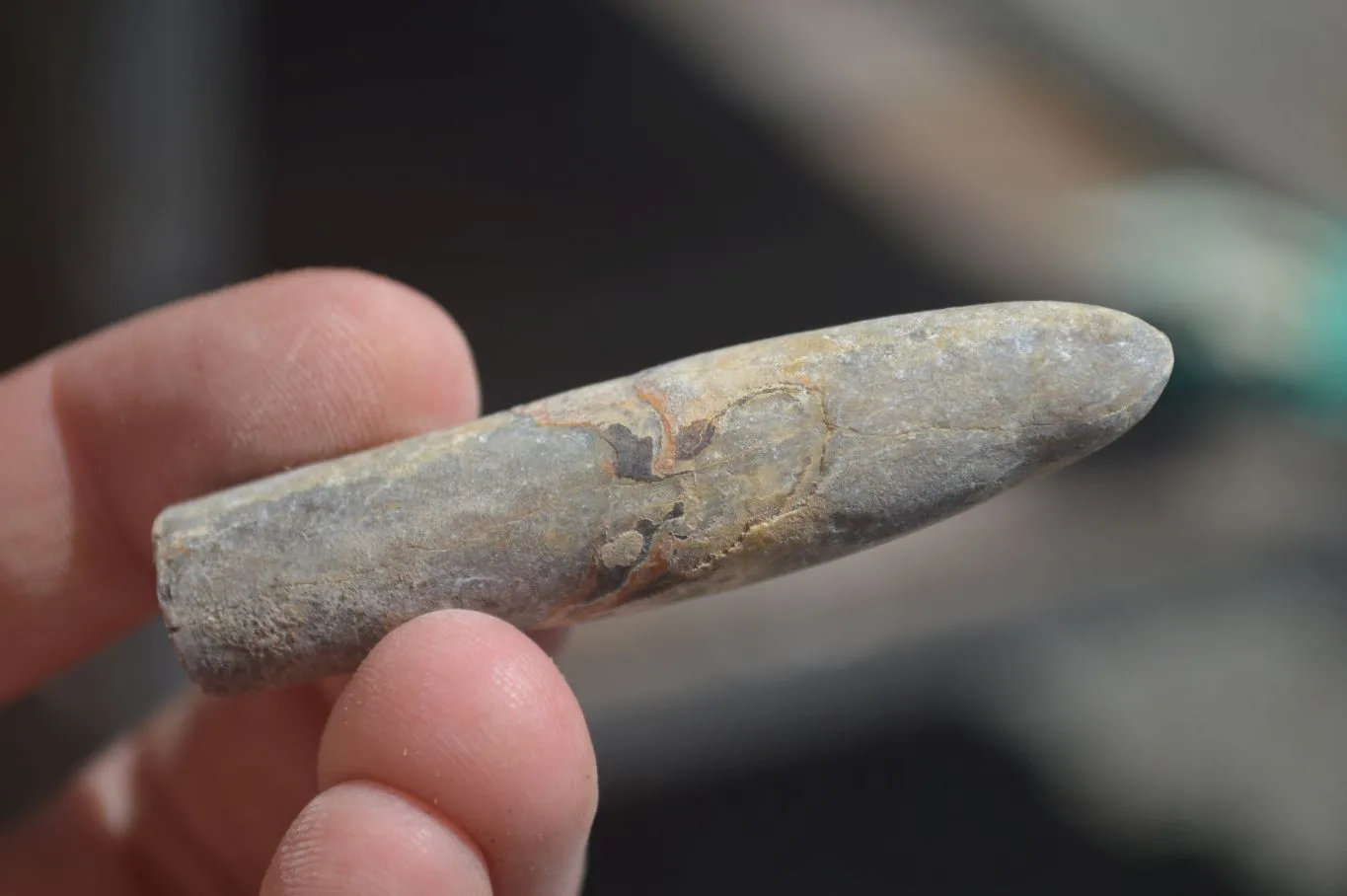 Natural Belemnite Fossil Specimens x 70 From Maintirano, Madagascar