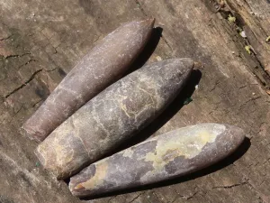 Natural Large Selected Belemnite Fossil Specimens x 36 From Maintirano, Madagascar