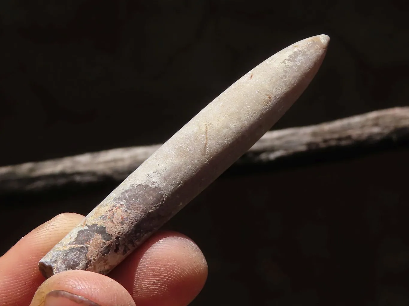 Natural Large Selected Belemnite Fossil Specimens x 36 From Maintirano, Madagascar