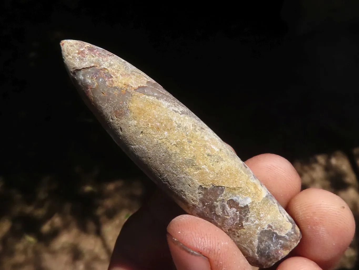 Natural Large Selected Belemnite Fossil Specimens x 36 From Maintirano, Madagascar