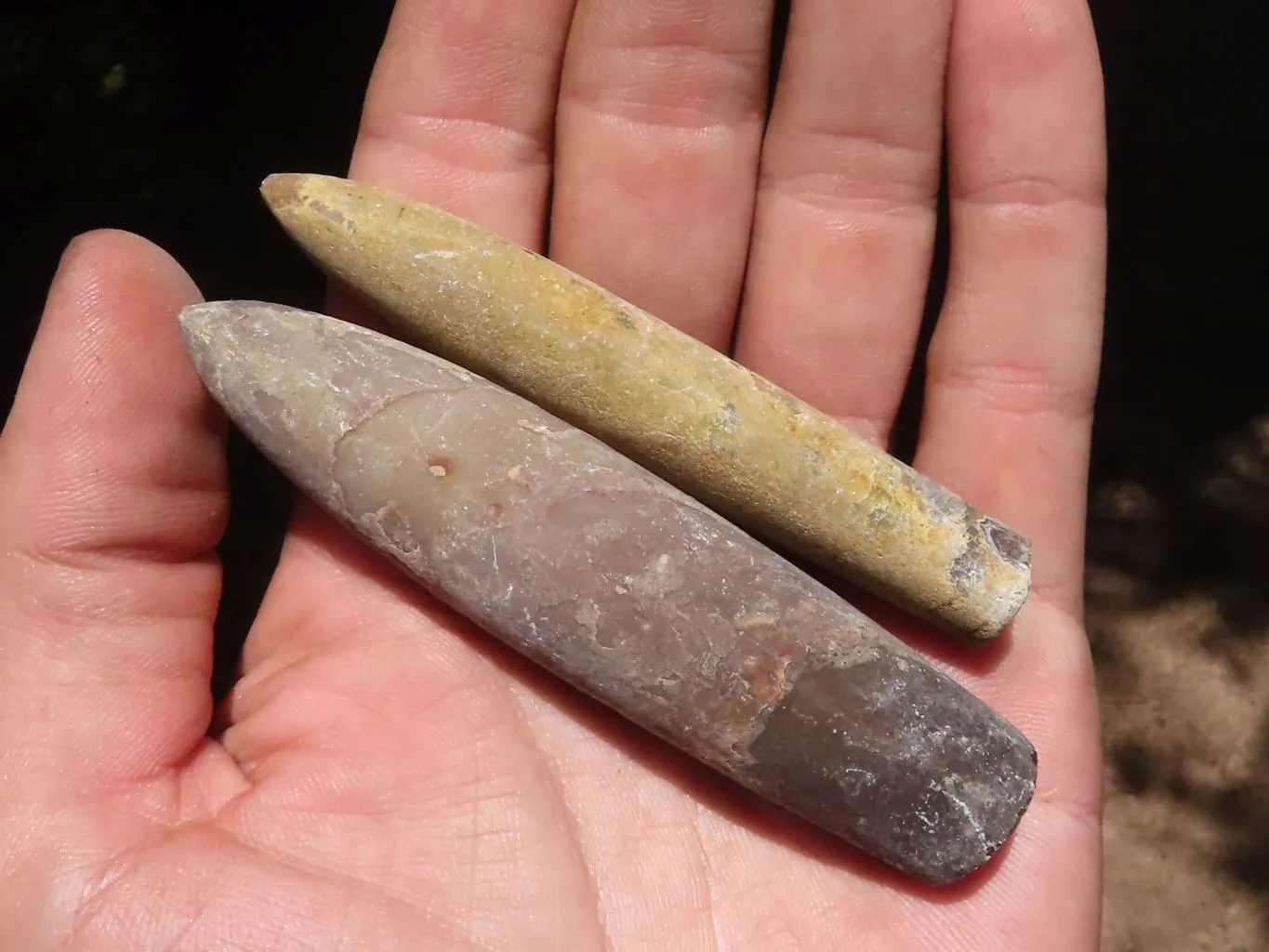 Natural Large Selected Belemnite Fossil Specimens x 36 From Maintirano, Madagascar