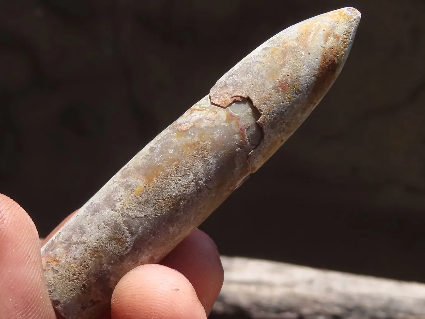 Natural Large Selected Belemnite Fossil Specimens x 36 From Maintirano, Madagascar