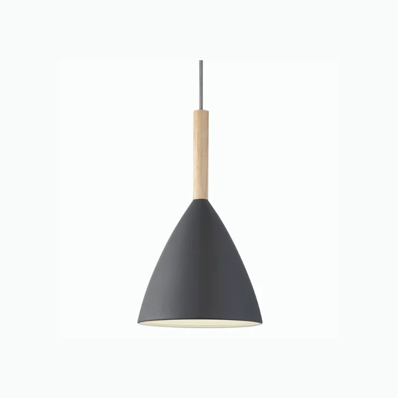 Pure Pendant Light With Timber Accent | Assorted Colours & Sizes