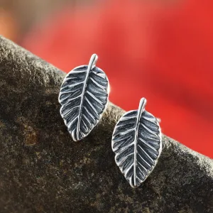 Sterling Silver American Beech Leaf Studs